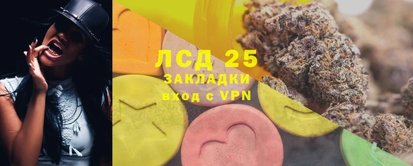 мет Алексин