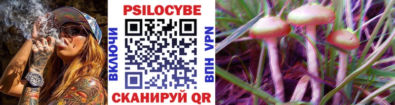 купить наркотики цена  Геленджик  Галлюциногенные грибы Psilocybine cubensis 